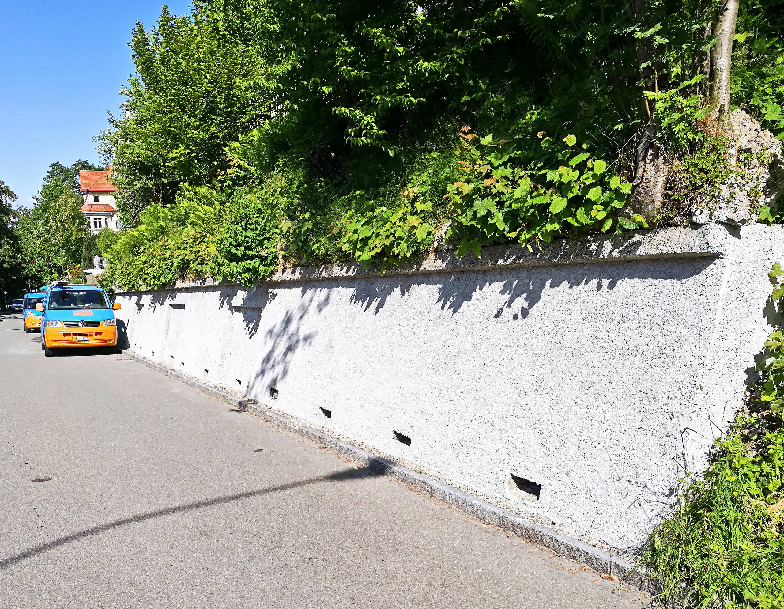 Mauer mit Begrünung darüber am Strassenrand der Berneggstrasse in St.Gallen.